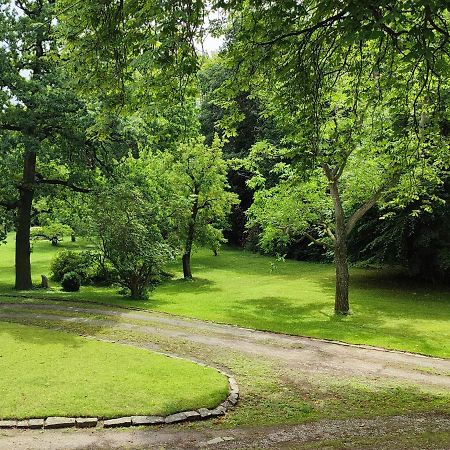 Ferienwohnung Goslar Mit Parkblick Am Harz Buitenkant foto